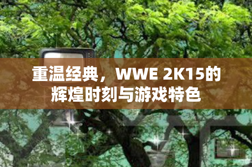重温经典，WWE 2K15的辉煌时刻与游戏特色