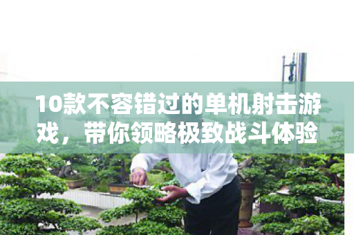 10款不容错过的单机射击游戏，带你领略极致战斗体验