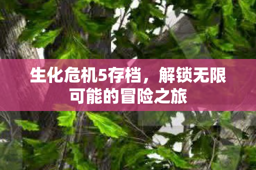 生化危机5存档，解锁无限可能的冒险之旅