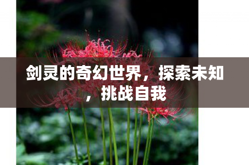 剑灵的奇幻世界，探索未知，挑战自我
