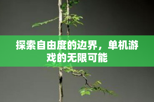 探索自由度的边界，单机游戏的无限可能