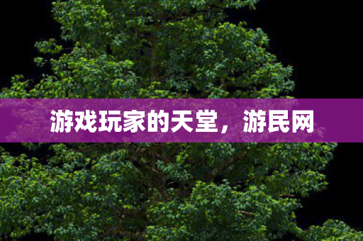 游戏玩家的天堂，游民网
