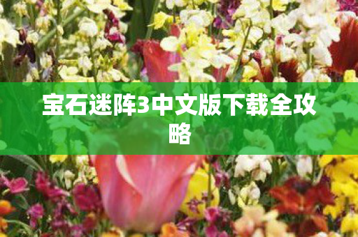 宝石迷阵3中文版下载全攻略