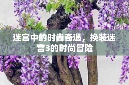 迷宫中的时尚奇遇，换装迷宫3的时尚冒险