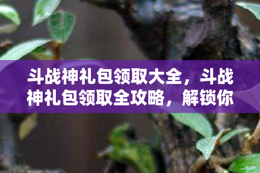 斗战神礼包领取全攻略图片