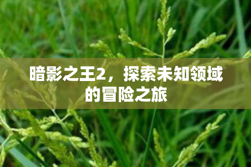 暗影之王2,探索未知领域的冒险之旅 暗影之王2,探索未知领域的冒险之旅