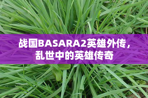 战国BASARA2英雄外传,乱世中的英雄传奇 战国BASARA2英雄外传,乱世中的英雄传奇