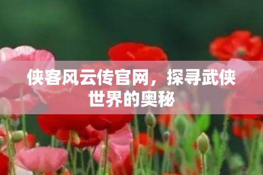 侠客风云传官网，探寻武侠世界的奥秘