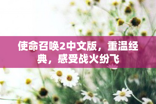 使命召唤2中文版，重温经典，感受战火纷飞