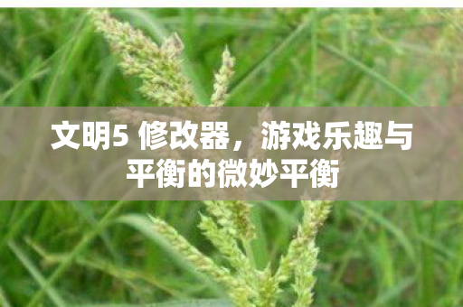 文明5 修改器，游戏乐趣与平衡的微妙平衡