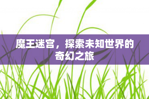 魔王迷宫，探索未知世界的奇幻之旅