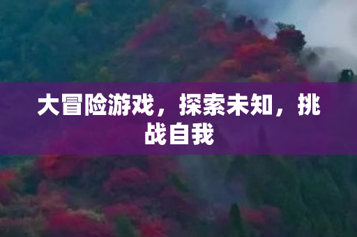 大冒险游戏图片