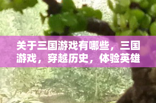 关于三国游戏有哪些，三国游戏，穿越历史，体验英雄辈出的时代