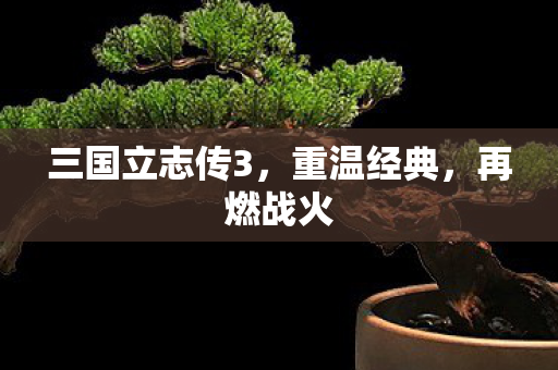 三国立志传3，重温经典，再燃战火