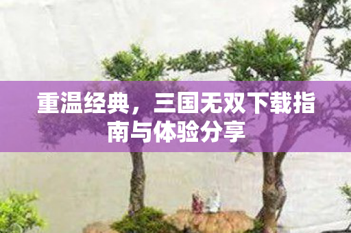 重温经典，三国无双下载指南与体验分享