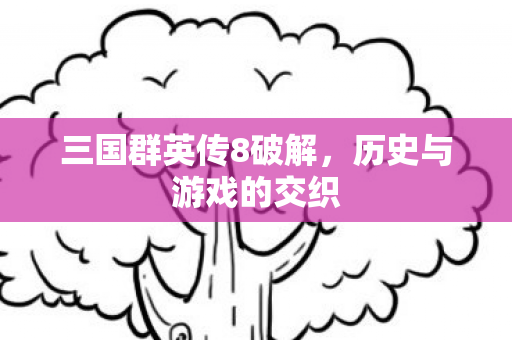 三国群英传8破解，历史与游戏的交织