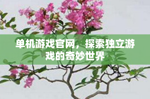 单机游戏官网，探索独立游戏的奇妙世界
