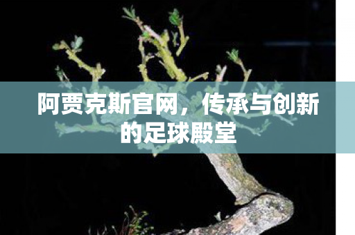 传承与创新的足球殿堂图片