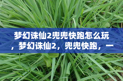 梦幻诛仙2兜兜快跑怎么玩图片