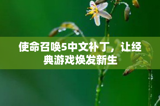 使命召唤5中文补丁，让经典游戏焕发新生