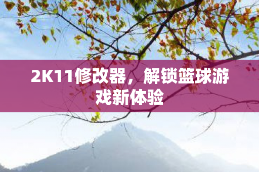 2K11修改器，解锁篮球游戏新体验