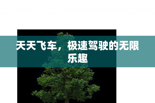 天天飞车，极速驾驶的无限乐趣