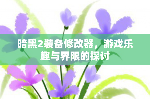 暗黑2装备修改器，游戏乐趣与界限的探讨
