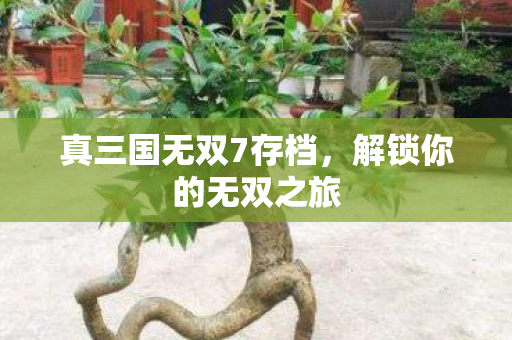 真三国无双7存档图片