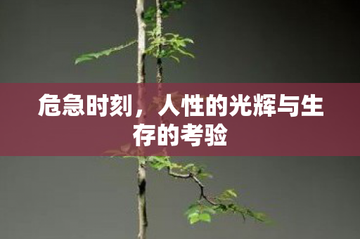 危急时刻，人性的光辉与生存的考验