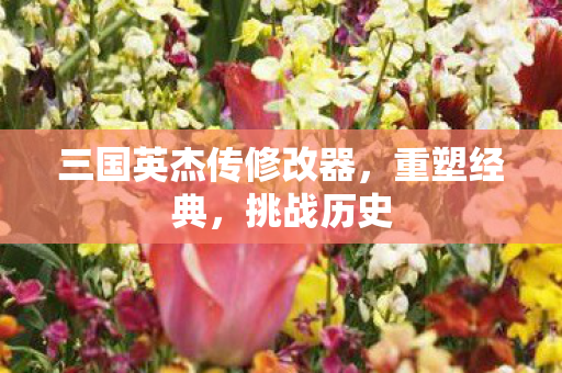 三国英杰传修改器图片