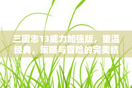 三国志13威力加强版，重温经典，策略与冒险的完美结合