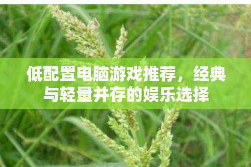 低配置电脑游戏推荐，经典与轻量并存的娱乐选择