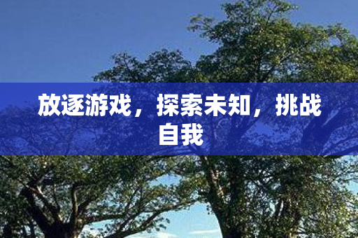 放逐游戏，探索未知，挑战自我