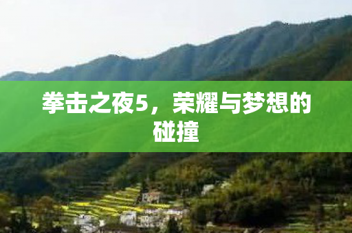 拳击之夜5，荣耀与梦想的碰撞