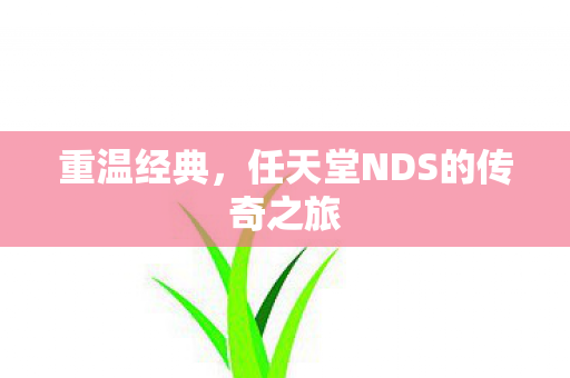 任天堂NDS的传奇之旅图片