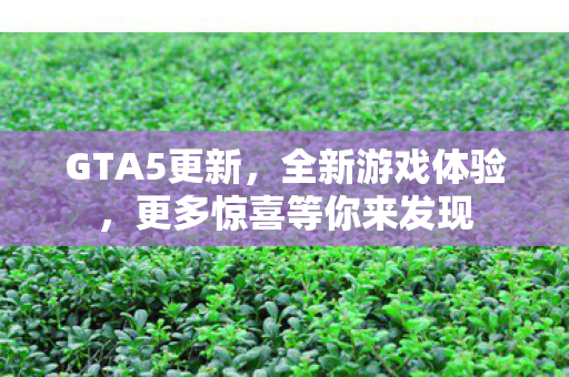 GTA5更新，全新游戏体验，更多惊喜等你来发现
