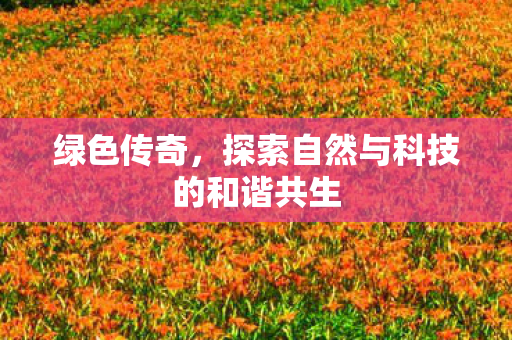 探索自然与科技的和谐共生图片