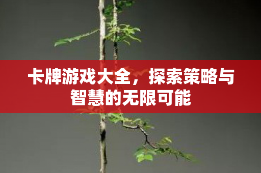 卡牌游戏大全，探索策略与智慧的无限可能