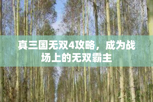 真三国无双4攻略，成为战场上的无双霸主