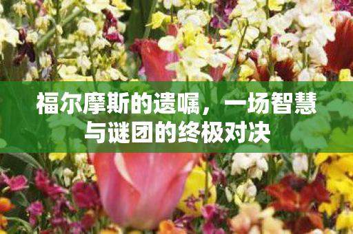 福尔摩斯的遗嘱，一场智慧与谜团的终极对决