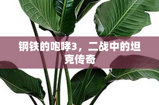 钢铁的咆哮3，二战中的坦克传奇