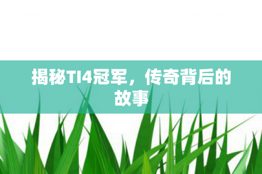 揭秘TI4冠军图片