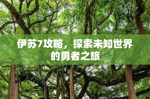 伊苏7攻略，探索未知世界的勇者之旅