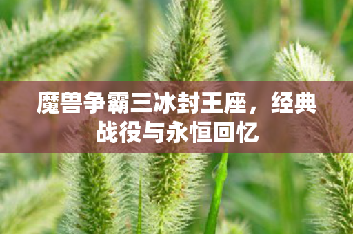 魔兽争霸三冰封王座，经典战役与永恒回忆