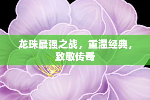 龙珠最强之战，重温经典，致敬传奇