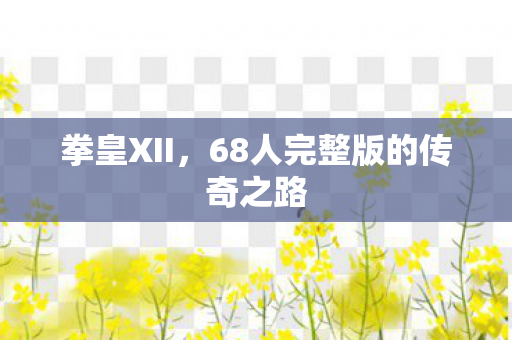 68人完整版的传奇之路图片
