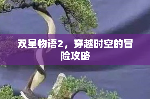 双星物语2，穿越时空的冒险攻略