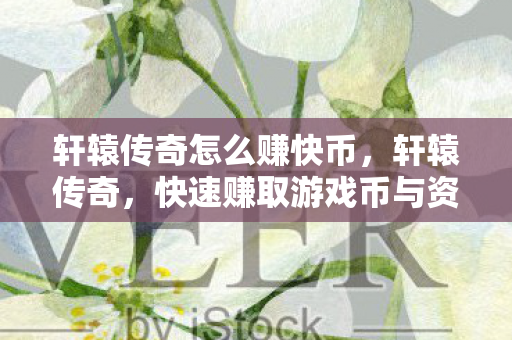 轩辕传奇怎么赚快币，轩辕传奇，快速赚取游戏币与资源的策略指南