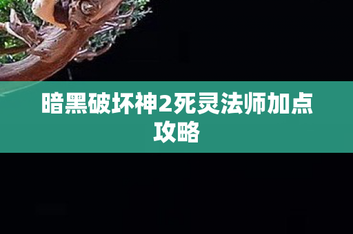 暗黑破坏神2死灵法师加点攻略