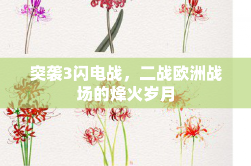 突袭3闪电战，二战欧洲战场的烽火岁月